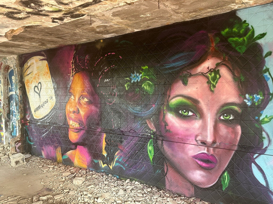 Ruine Festival Club Ibiza景点图片