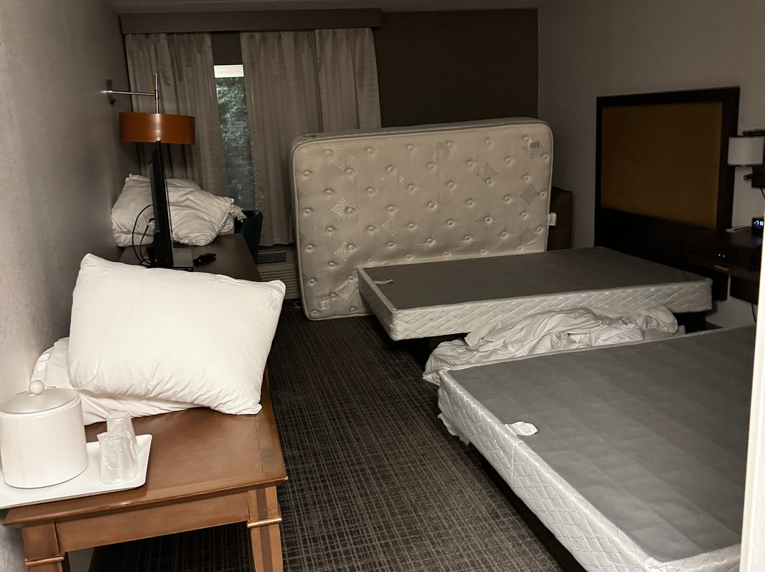 Comfort Inn Laurel - Fort Meade主图