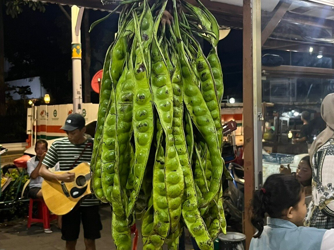 Jakarta Walking Tour-雅加达必去景点