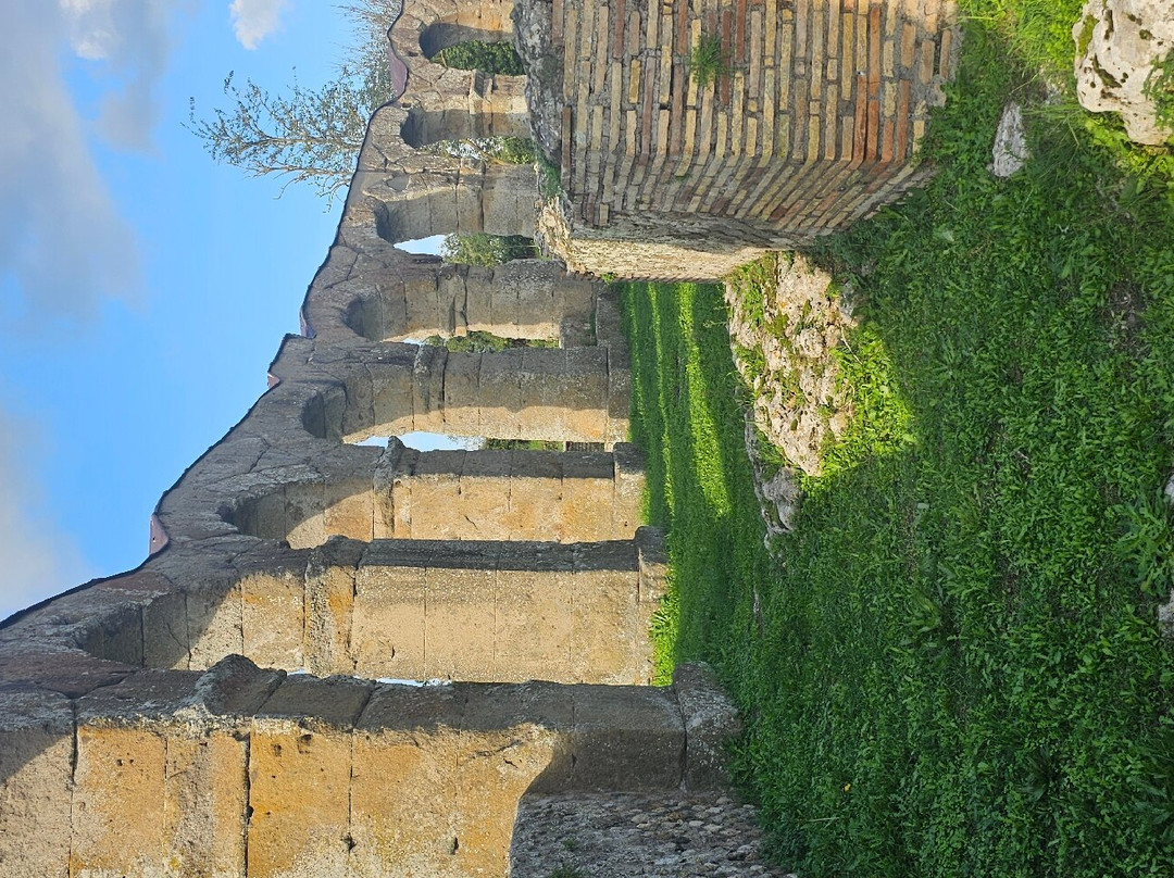 Area Archeologica di Ferento景点图片