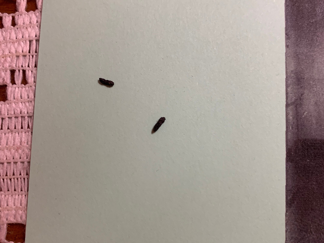 Tombstone Bordello主图