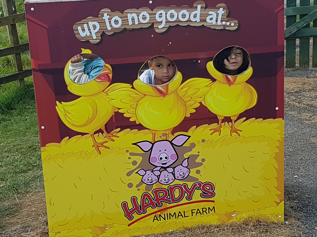 Hardys Animal Farm景点图片