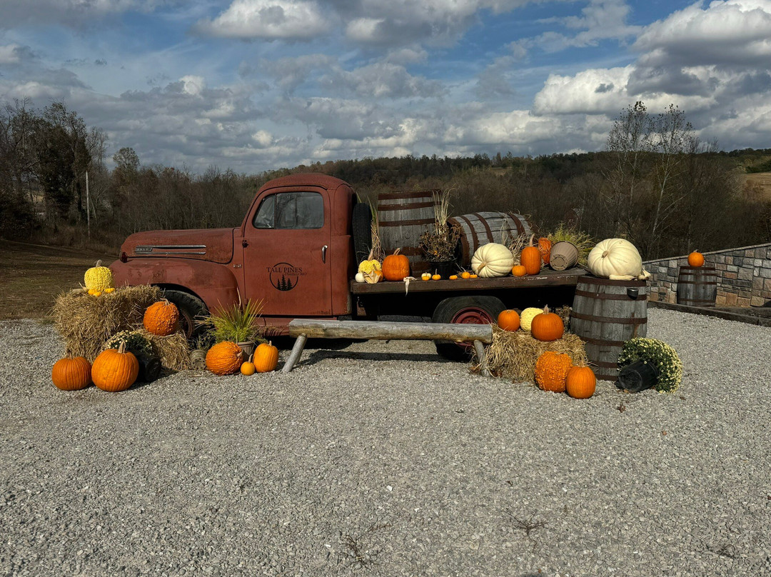 Tall Pines Distillery Mo-Noel必去景点