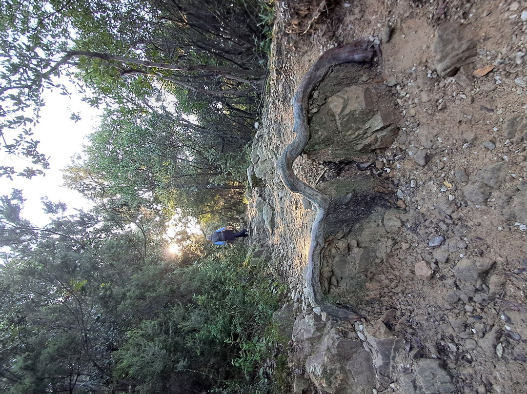 Hike the Punta Manara-东塞斯特里必去景点