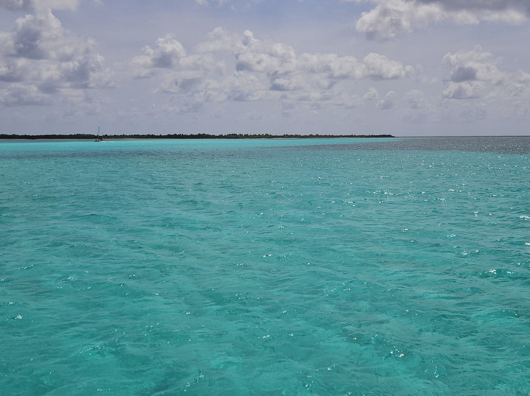 Travel Ahead Cancun - Passeios Diarios-普拉亚德尔卡曼必去景点