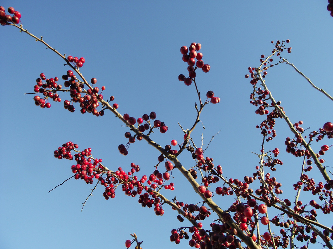 Lafayette Crossing-North Hampton必去景点