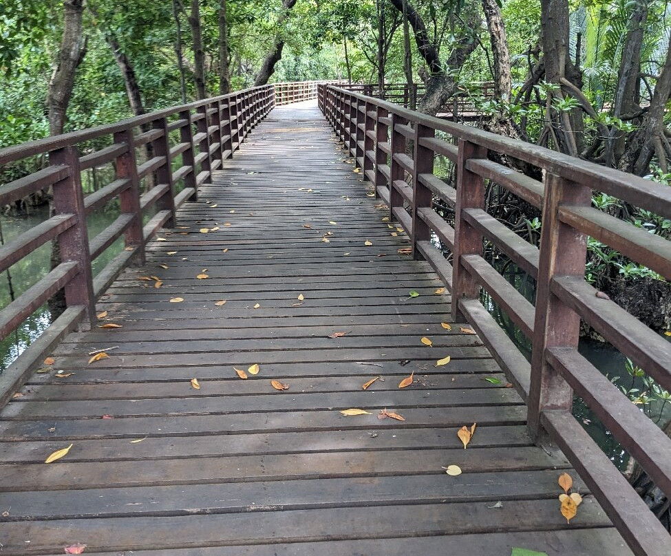 Sky Tower View Point-罗勇必去景点