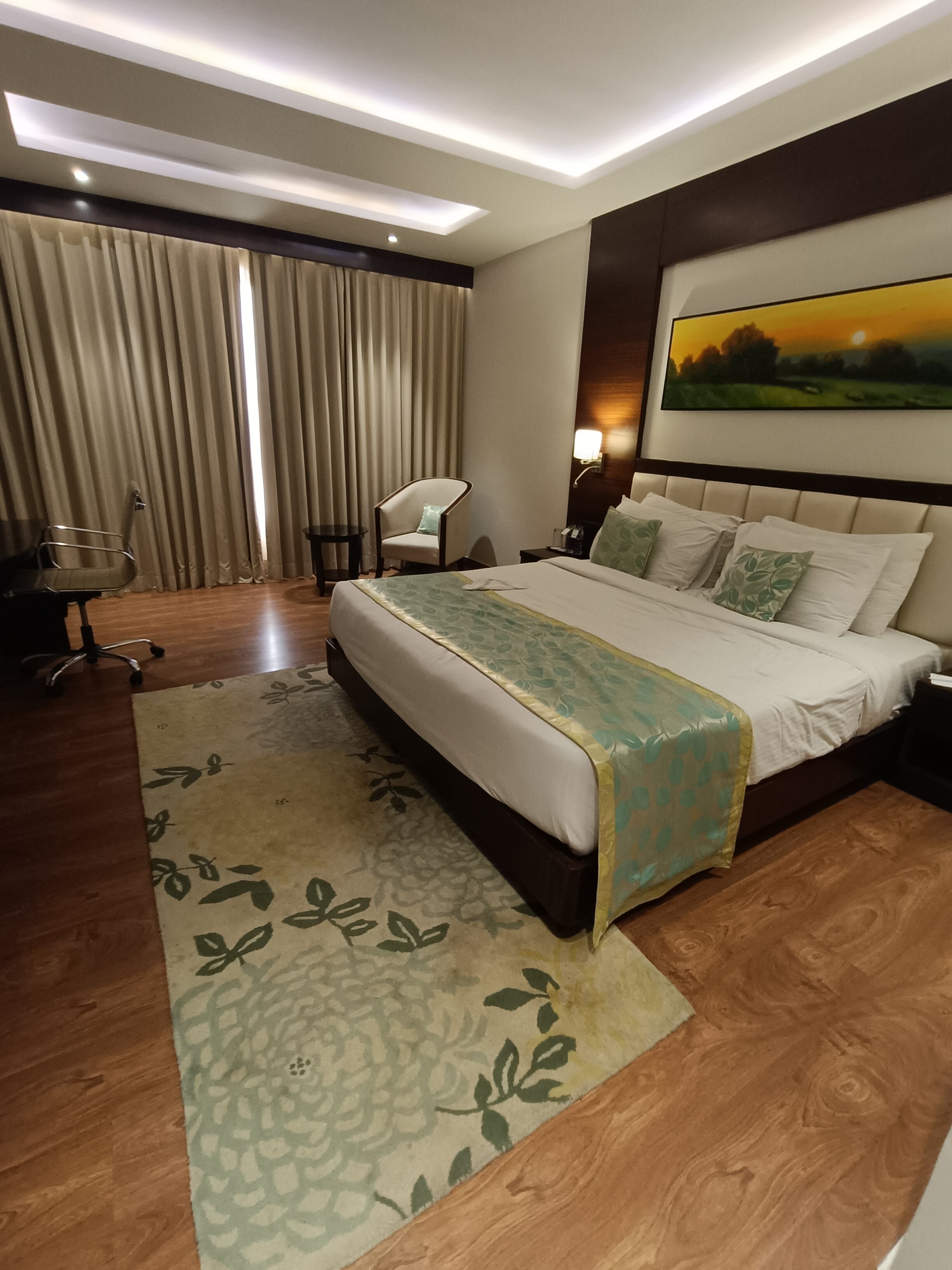 Cygnett Park BL Jaipur-客卧