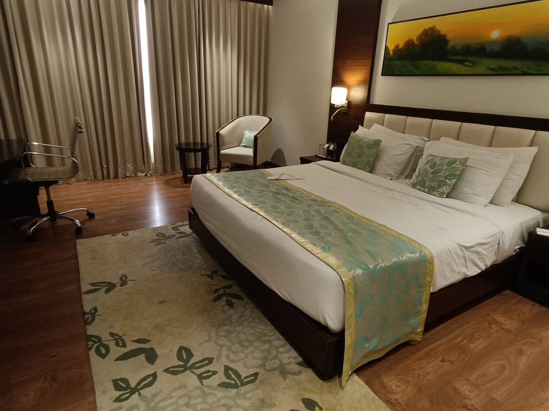 Cygnett Park BL Jaipur主图