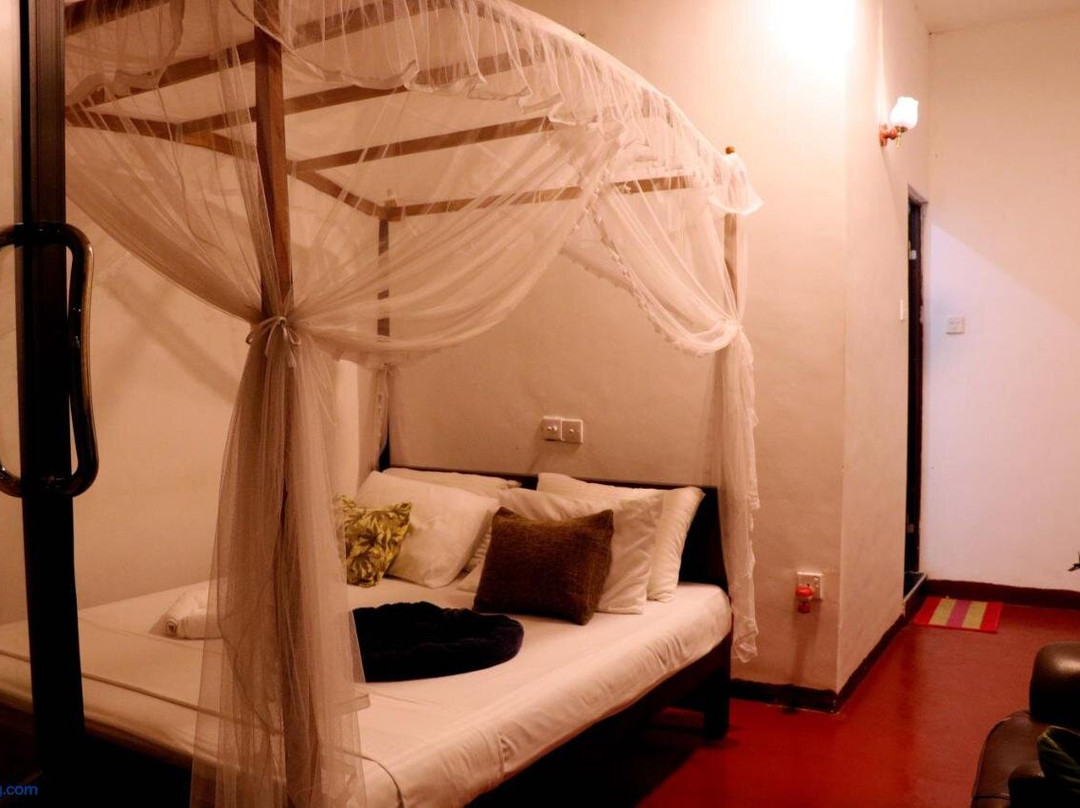 Tamasha Mango House主图