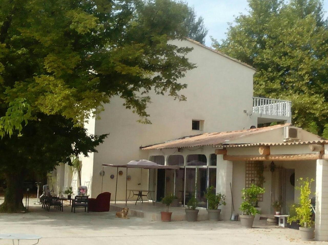 Au Pied Du Ventoux