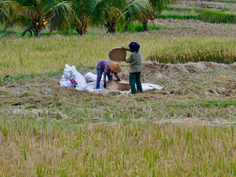 普瑞赛巴利度假村主图