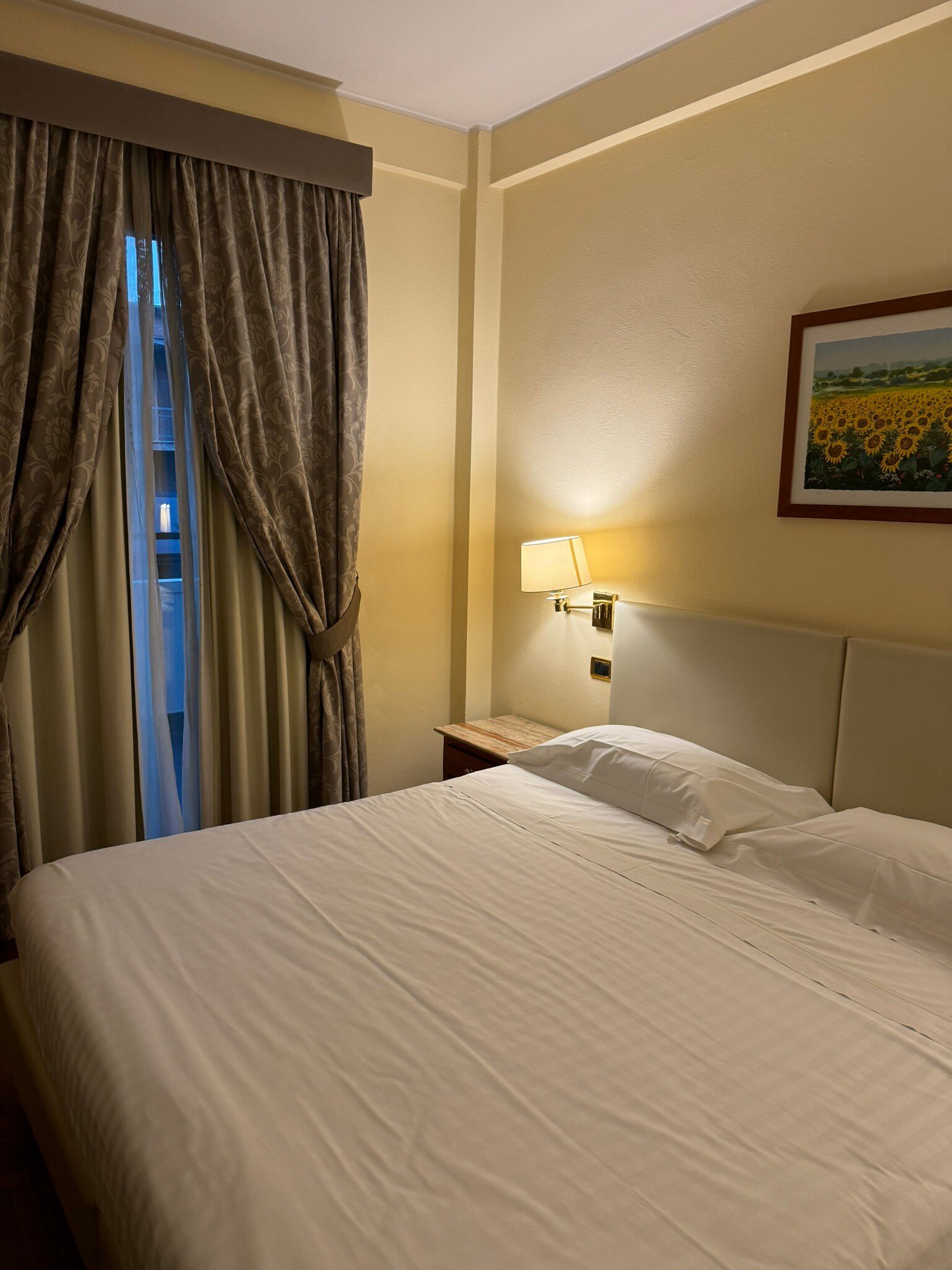 Hotel Airone-官方