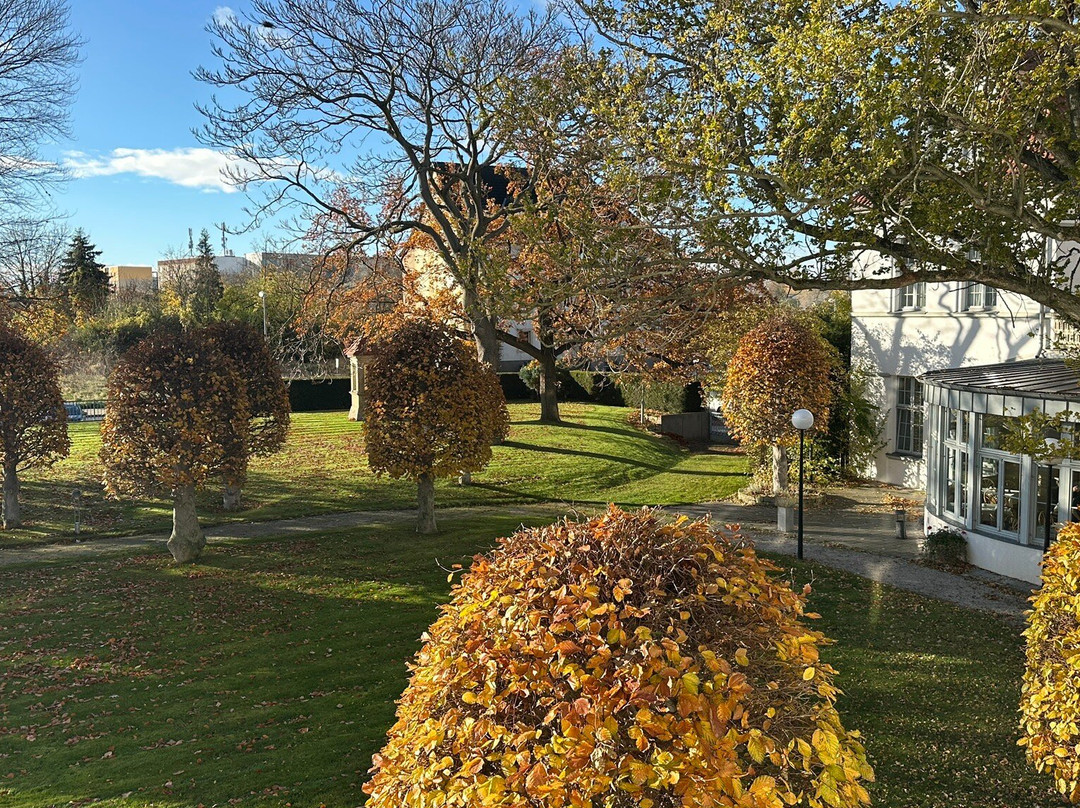 海涅别墅酒店主图