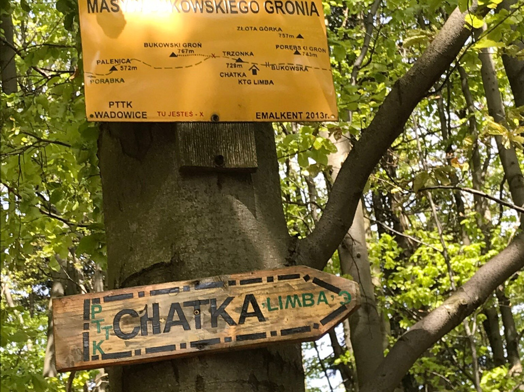 Chatka KTG Limba Na Trzonce