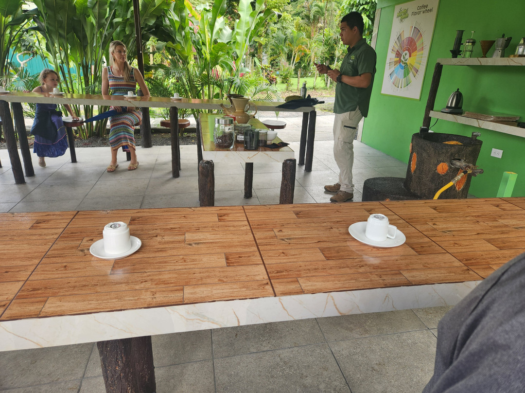 North Fields Coffee And Chocolate Tours景点图片