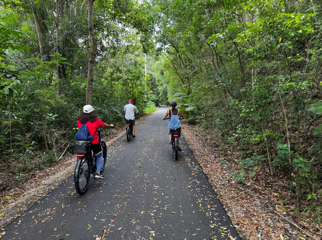 Northern Rivers Cycles And Bike Hire景点图片