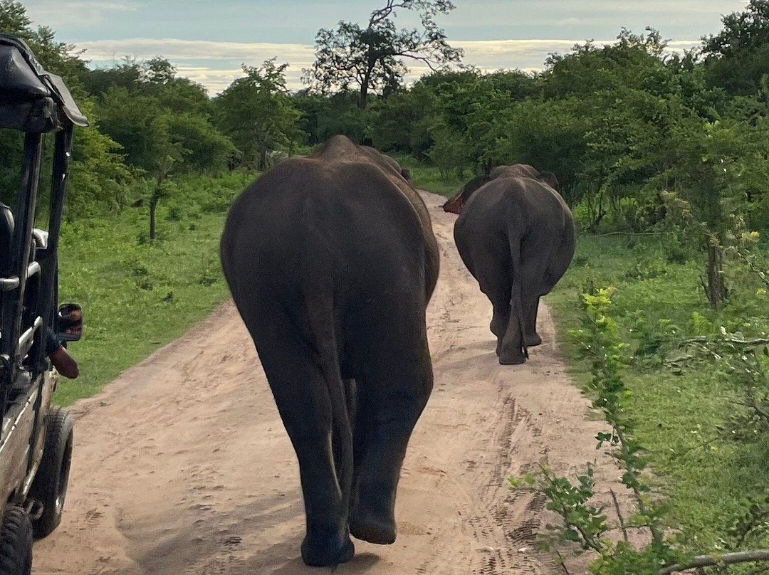 Ali Weta Safari Resort主图