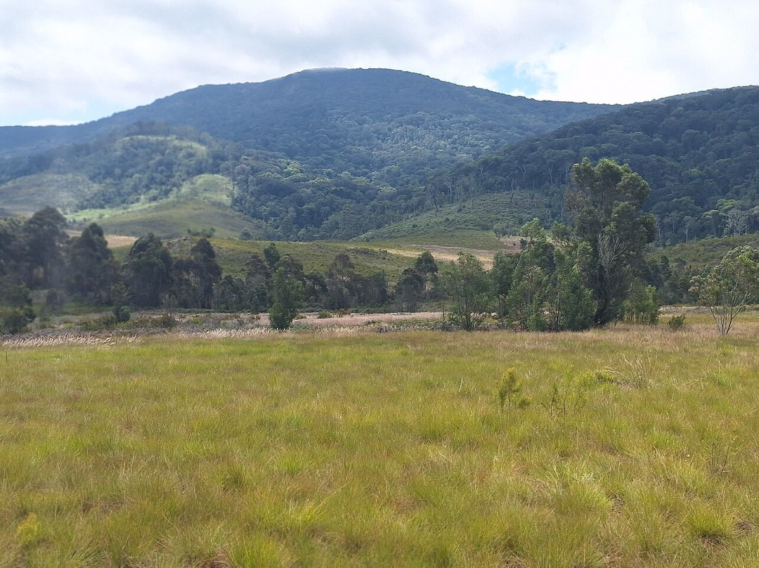 Chome Nature Forest Reserve景点图片