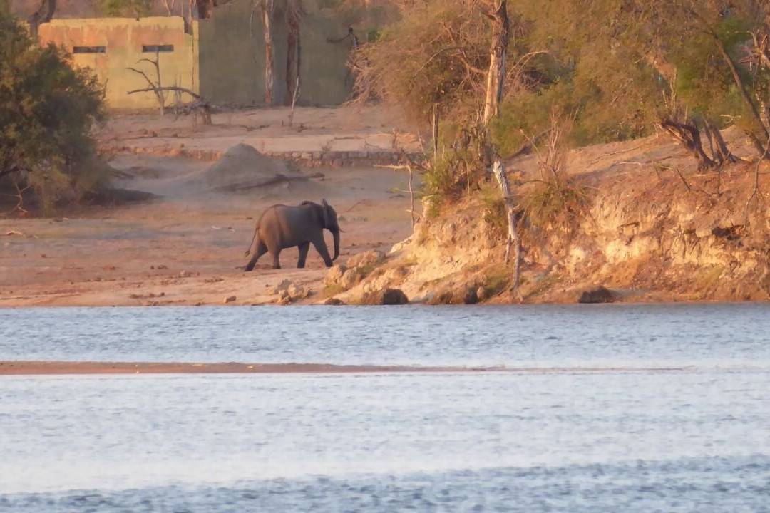 Buffalo Core Area-Bwabwata National Park必去景点