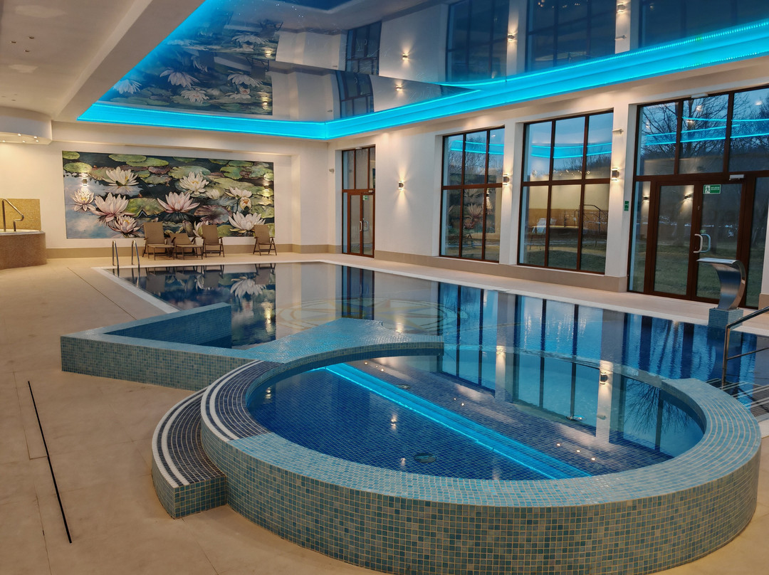 Hotel Kmicic - Belvedere & SPA主图