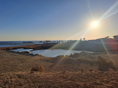 Horse hurghada-赫尔格达必去景点