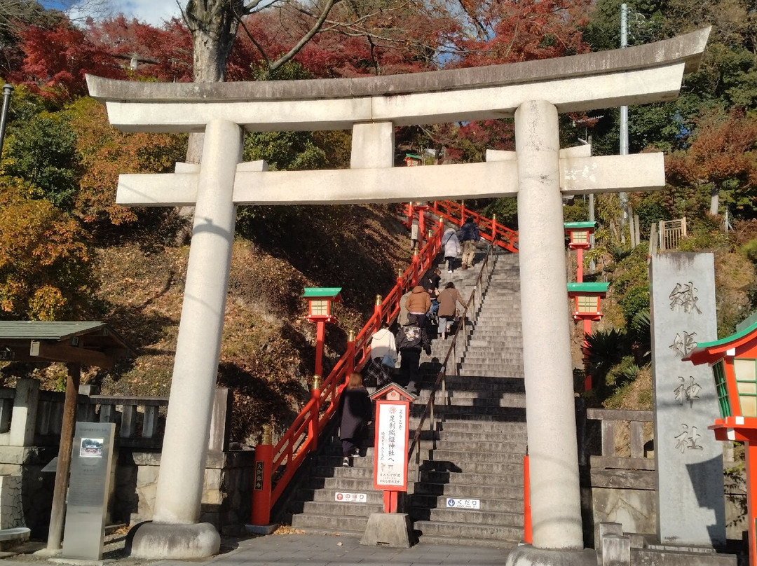 Ashikaga Orihime Jinjya-足利市必去景点