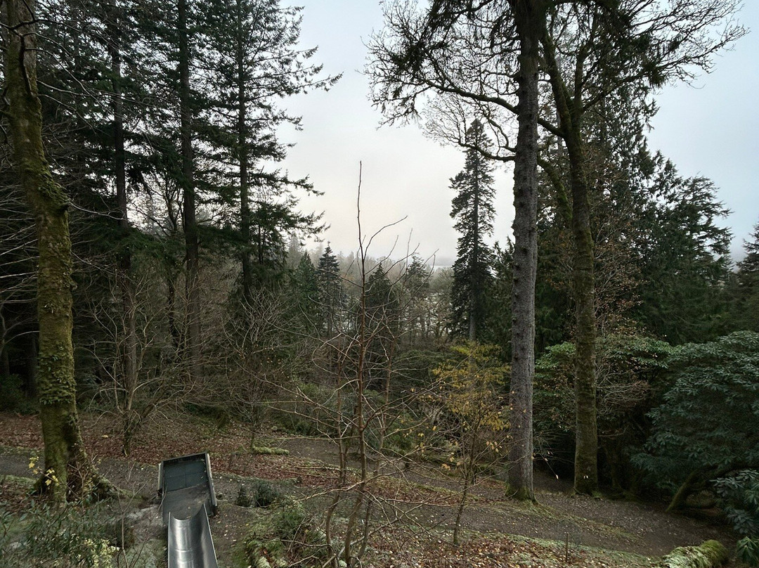 Ardkinglas Woodland Garden景点图片