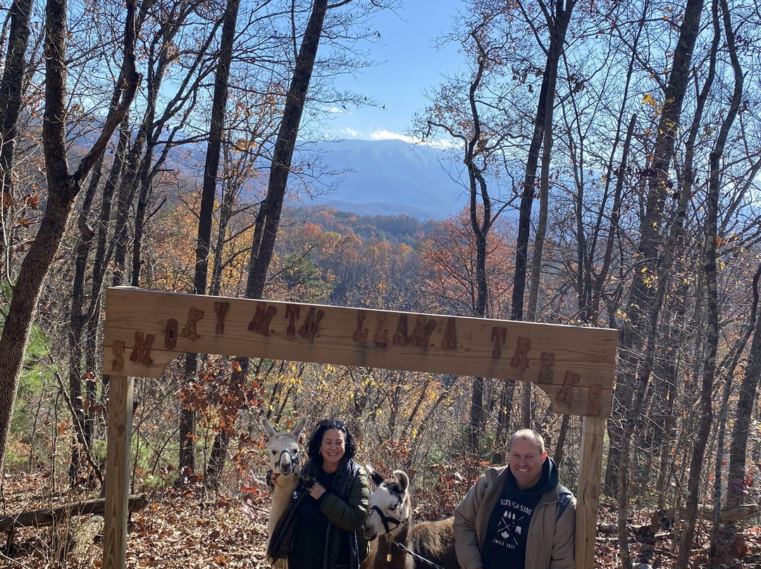 Smoky Mountain Llama Treks景点图片