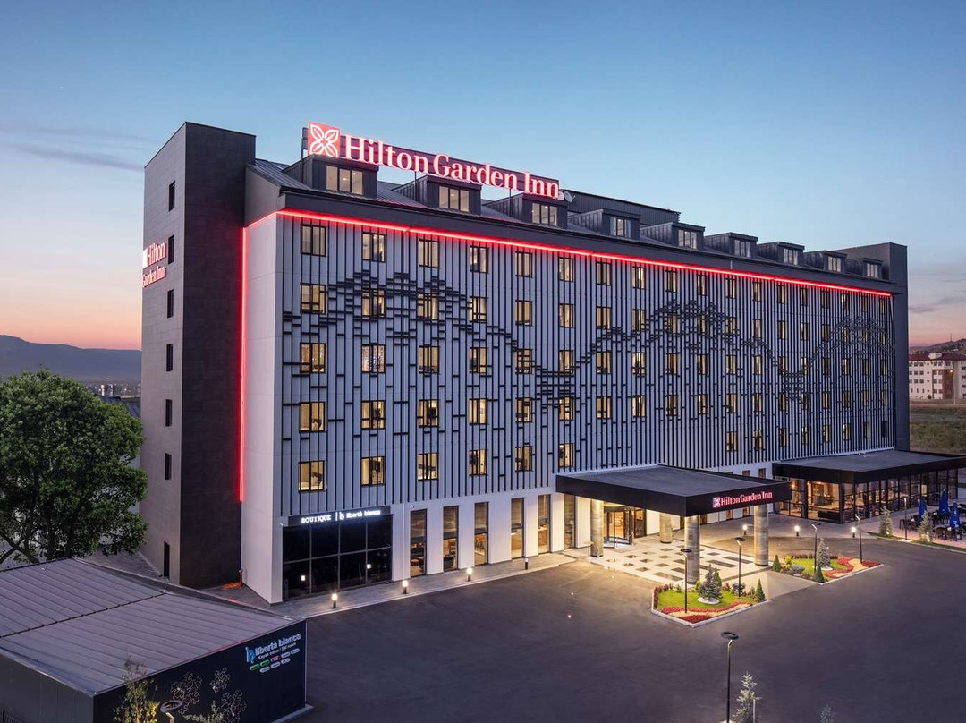 Erzurum酒店住宿-Hilton Garden Inn Erzurum
