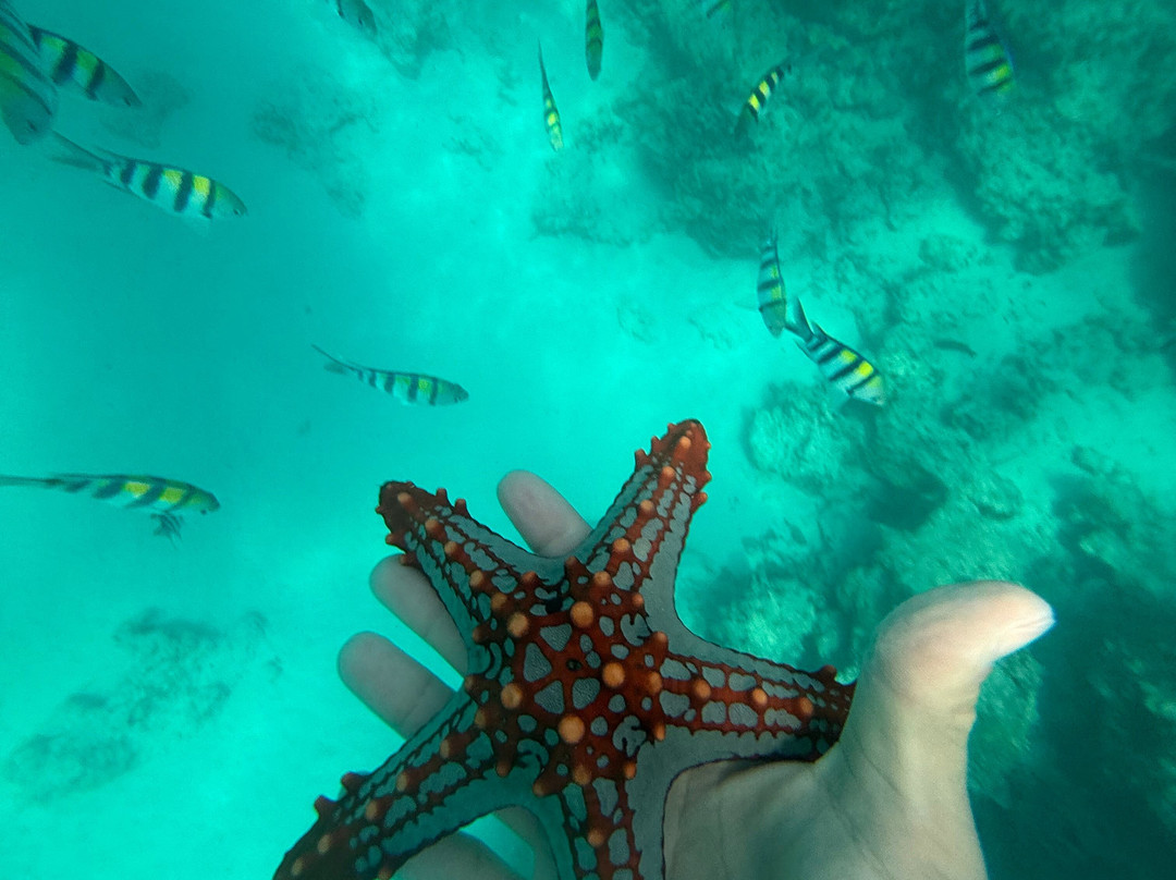 Zerozero sette Zanzibar-Pwani Mchangani必去景点