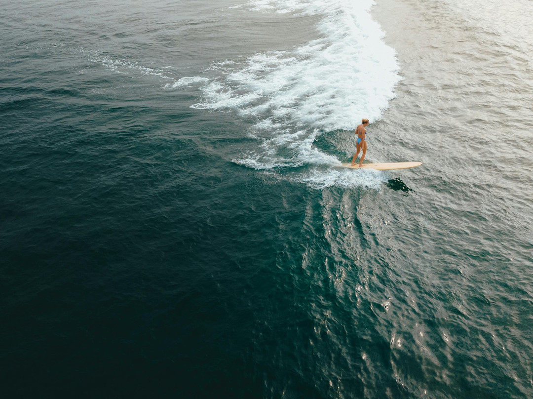 Grateful Surf Yoga And Ayurveda景点图片