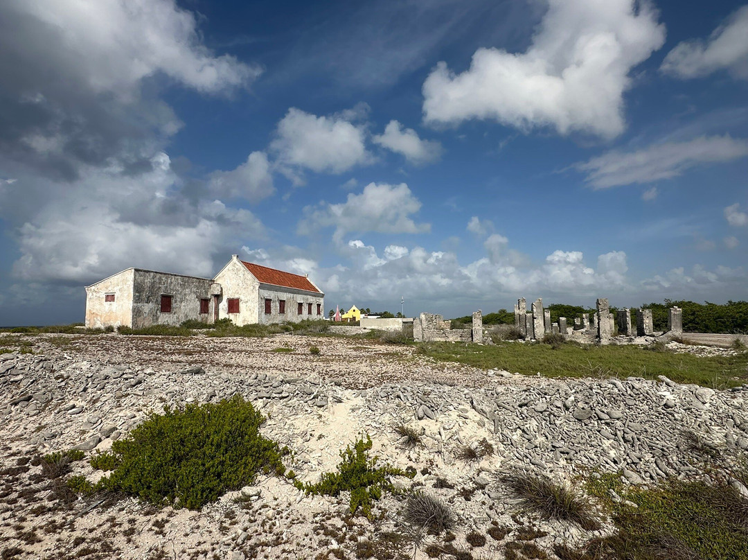 Red Slave Huts-Kralendijk必去景点