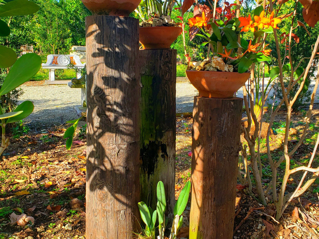 Mery Farm-霍姆斯特德必去景点