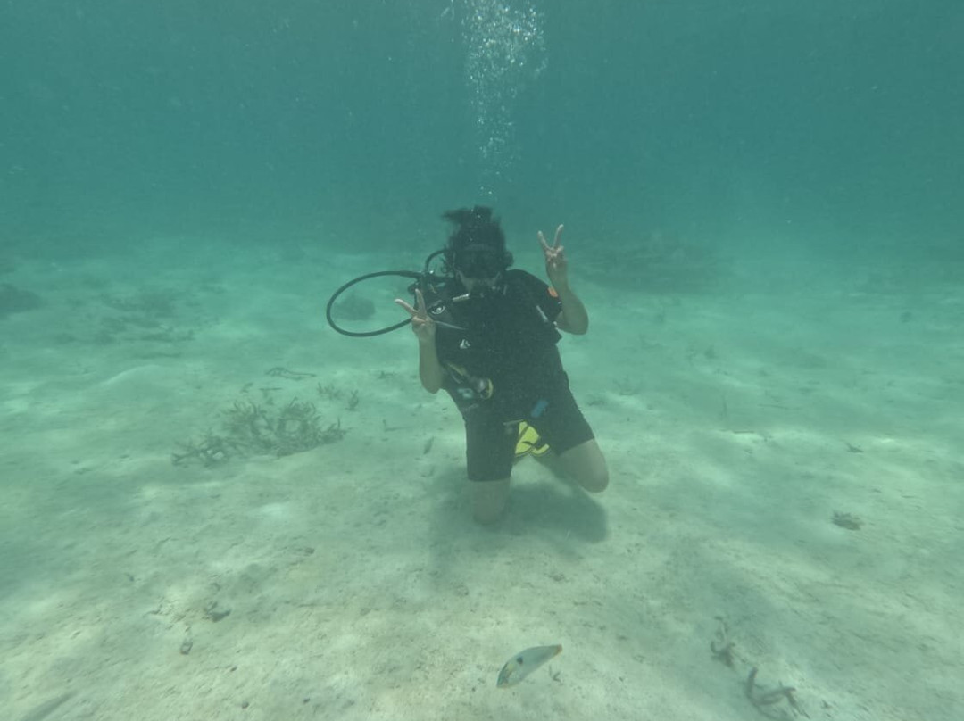 Dive Time景点图片