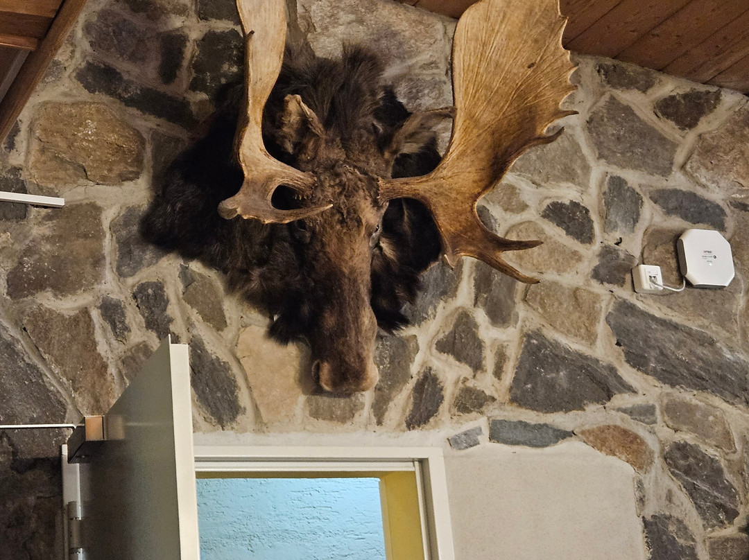 Waldhotel Seebachschleife主图