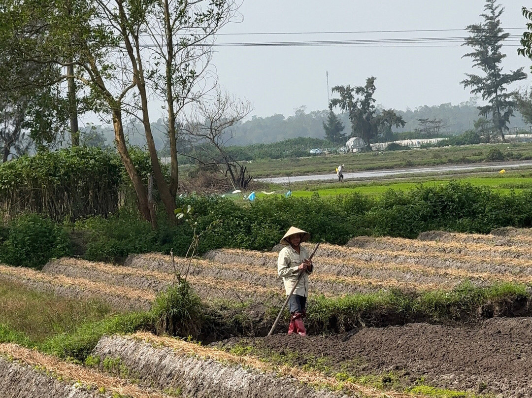 Lam Garden Boutique Homestay主图