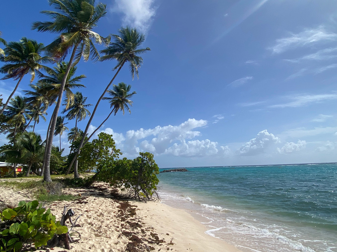 Sea, Wind & Foil-Saint Louis必去景点