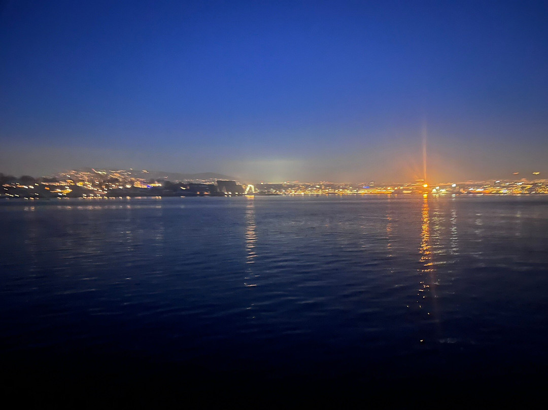 Fjord Cruise Oslofjord-奥斯陆必去景点
