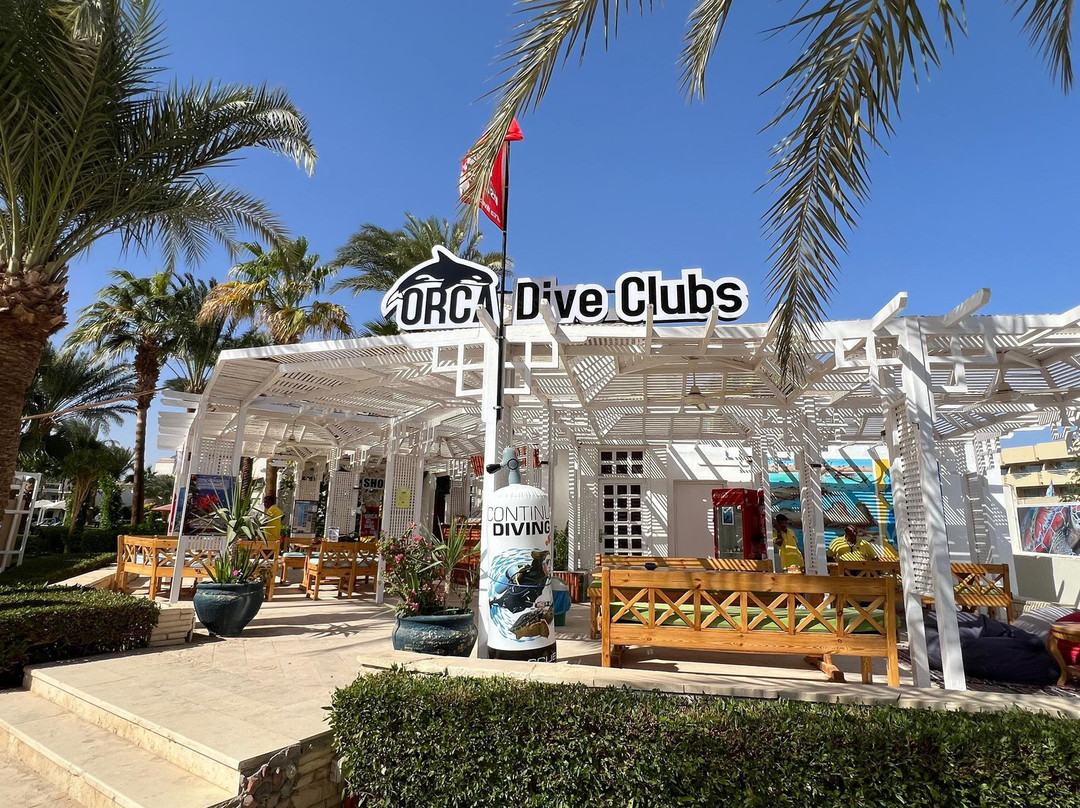 Orca Dive Club Safaga