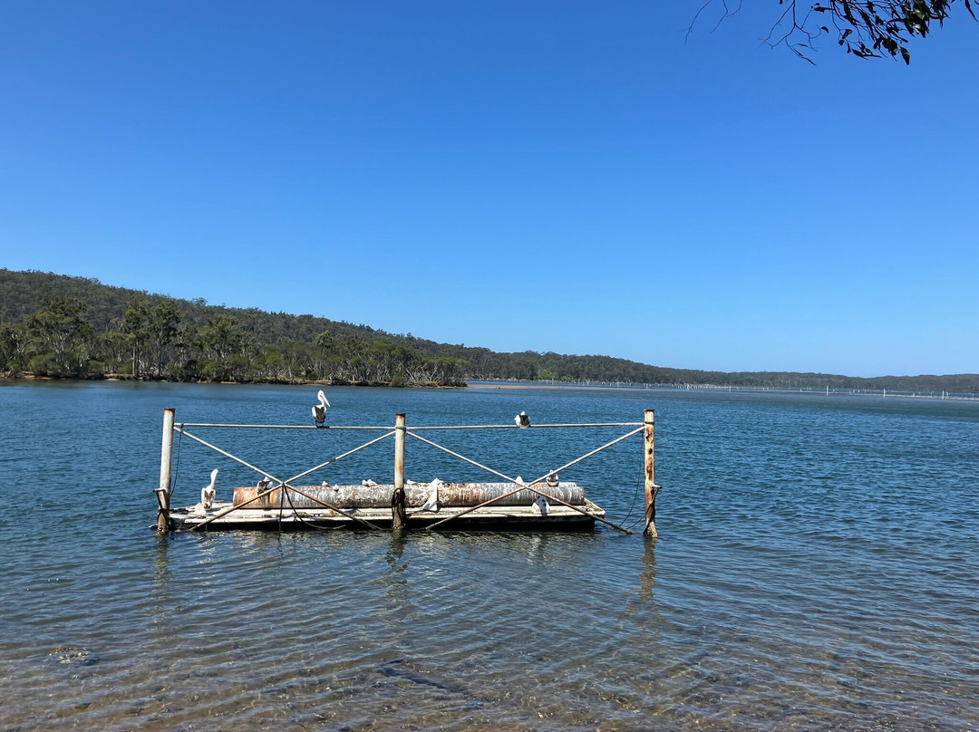 Broadwater Oysters景点图片