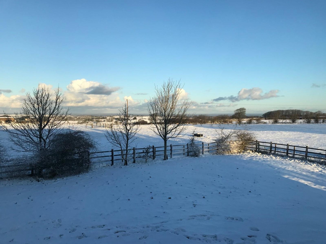 Travelodge Okehampton Sourton Cross主图