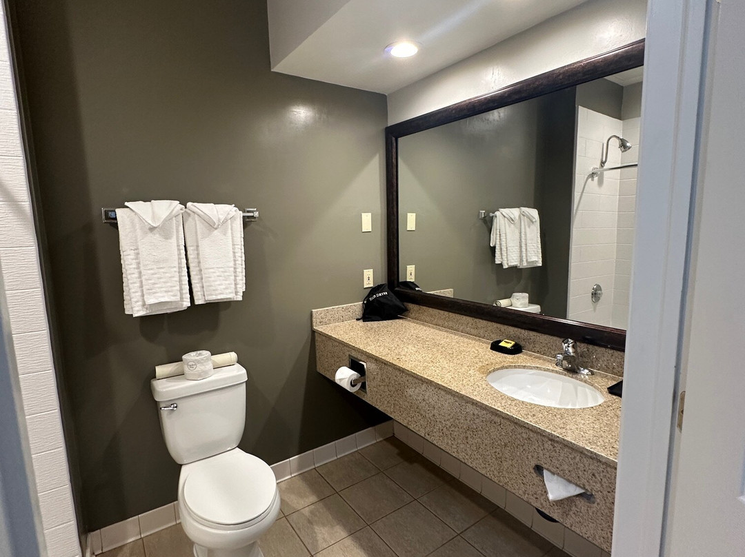 迪克森贝斯特韦斯特普勒斯酒店主图