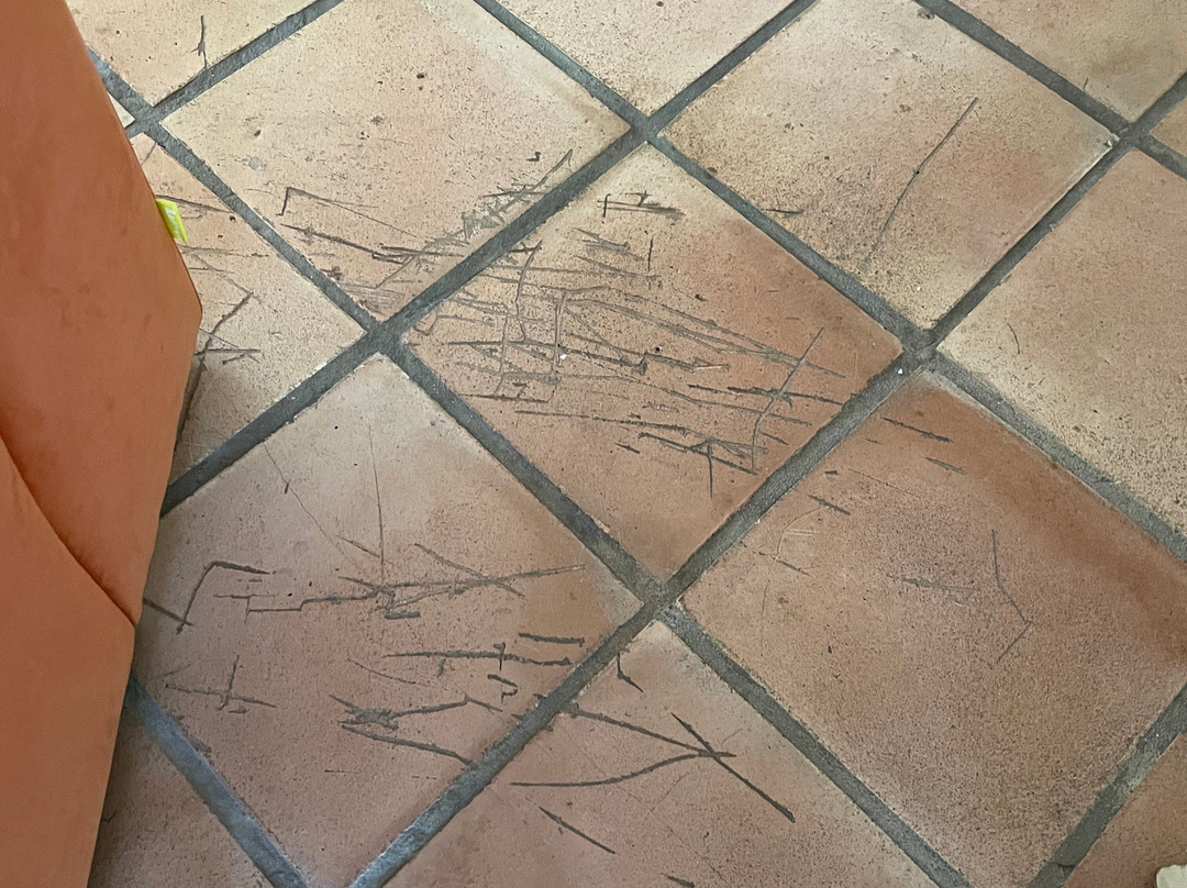 Martinhal Family Hotels & Resorts主图