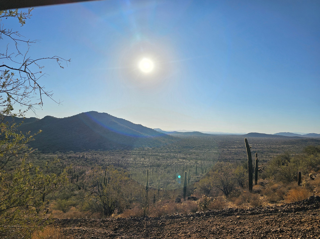 Wickenburg Adventure Rentals-Wickenburg必去景点