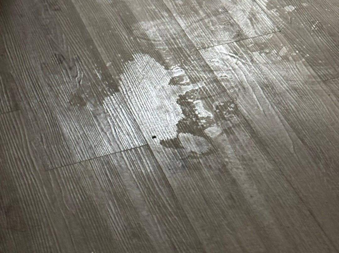 布劳恩费尔斯温盖特温德姆酒店主图