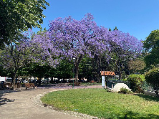 Praca do Principe Real-里斯本必去景点