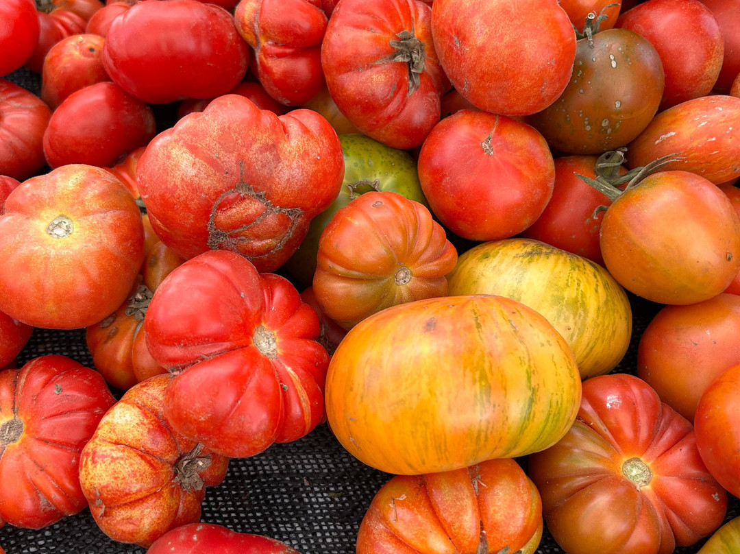 Orange Home Grown Farmers & Artisans Market-橘子郡必去景点