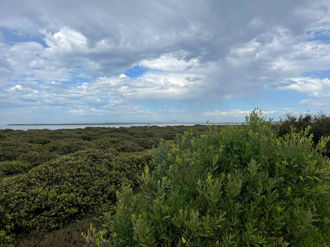 Christopher Robinson Walking Trail-Port Albert必去景点