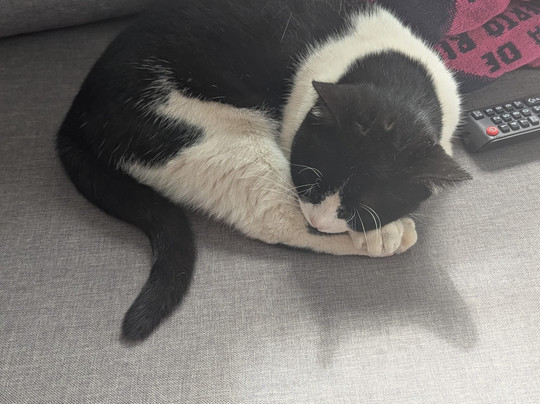 Hyde Park Lane主图